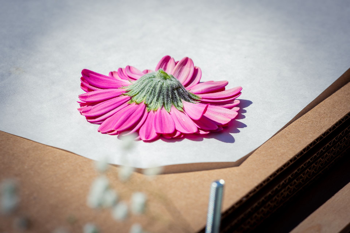 Fleur