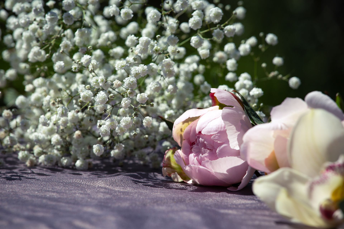 Fleurs